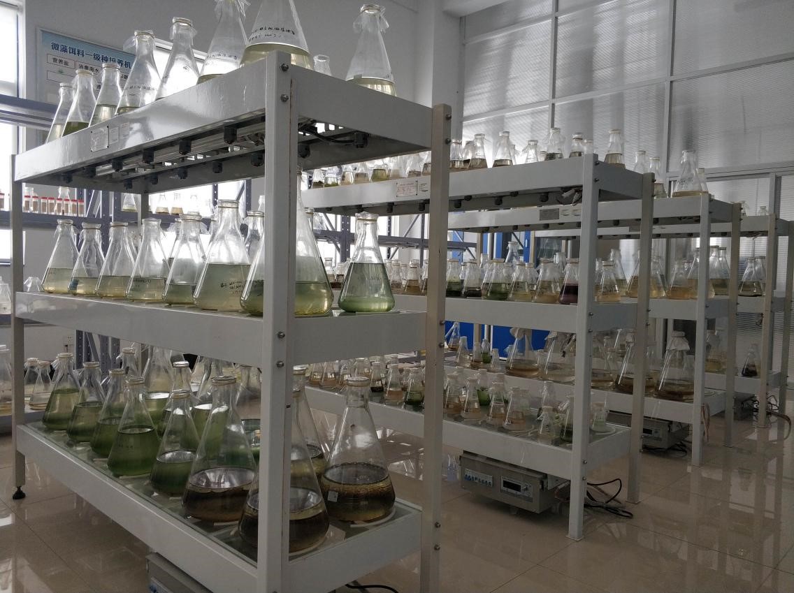山東省海洋經濟藻類資源開發(fā)與利用工程技術協(xié)同創(chuàng)新中心